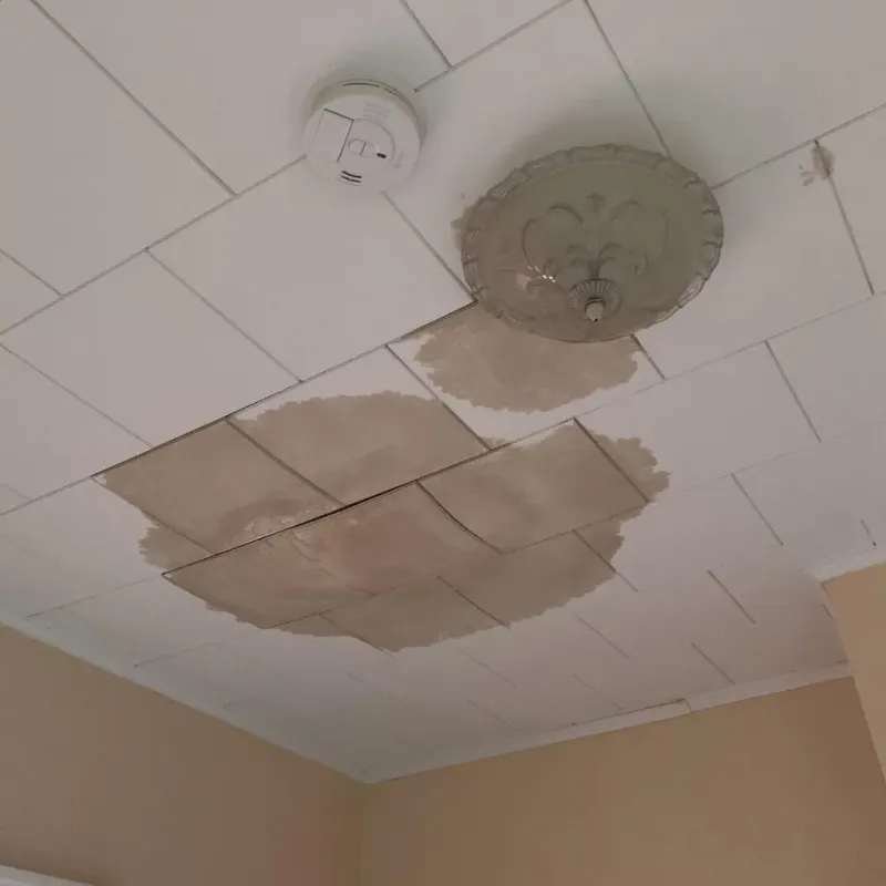 Ceiling Water Damage Repair in DeSoto, TX