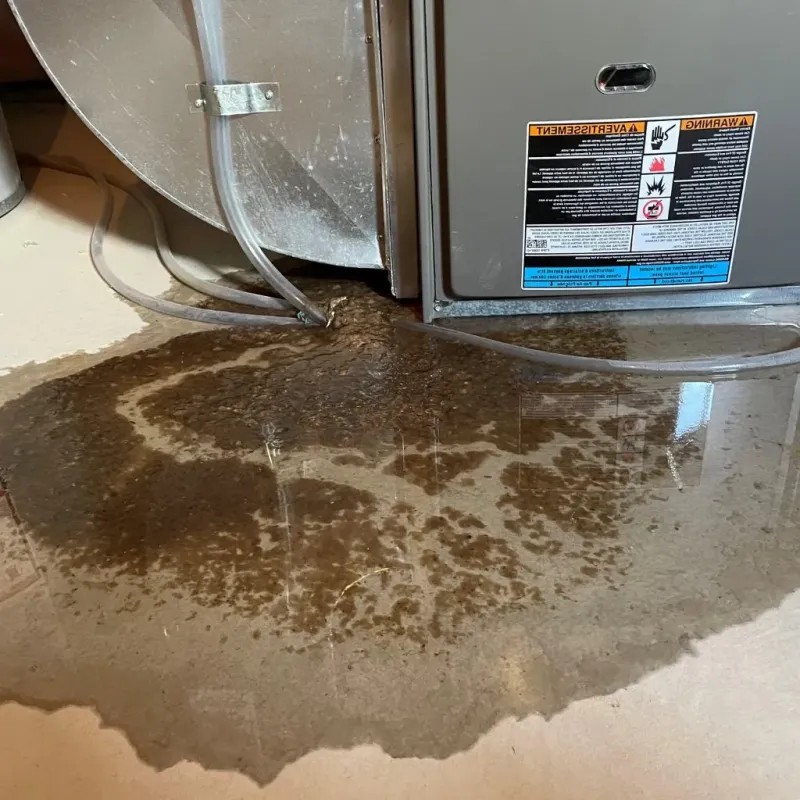Pipe Burst and Leak Restoration in DeSoto, TX
