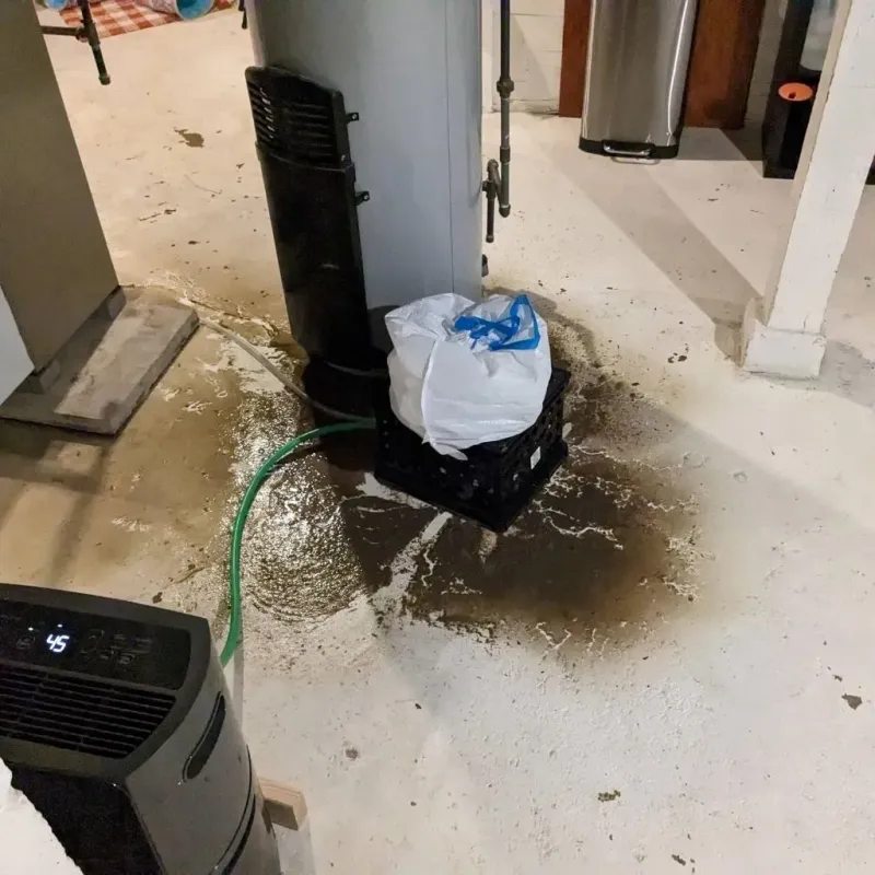 Sewage Backup Cleanup Service in DeSoto, TX